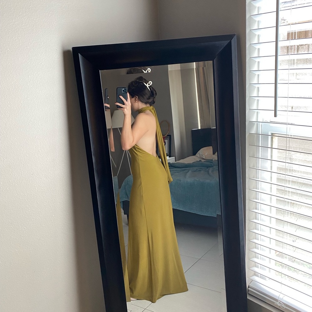 Zara dress